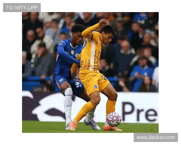 布莱顿客胜小蜜蜂戈麦斯维尔贝克